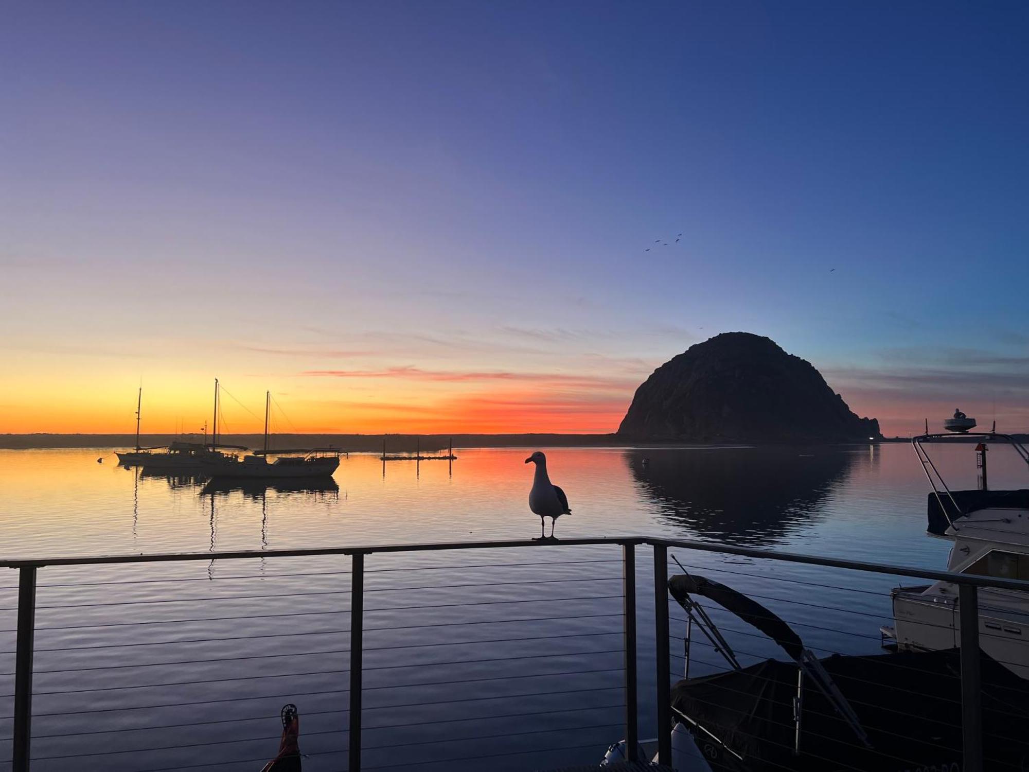 Harborwalk Inn Morro Bay Dış mekan fotoğraf